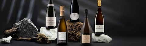 Best Champagne in Hong Kong: Sommelier's Top Picks for 2026