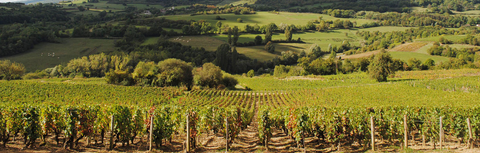Upcoming Wine Events This Season