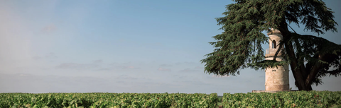 Bordeaux 1855 Classification: The Complete Guide for Hong Kong Wine Buyers