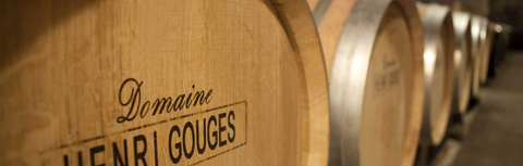 Spotlight on Burgundy: 9 Estates Worth Knowing This July