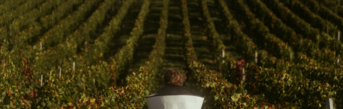 Where to Buy French Wine in Hong Kong: The Complete Guide