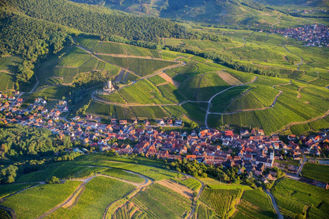Alsace vineyards and wine village