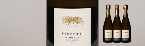 New Arrival: Roger Coulon 'Vindemia' Zero Dosage 1er Cru NV