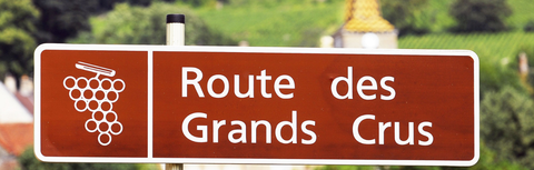 How to Read a Burgundy Wine Label: Complete Guide