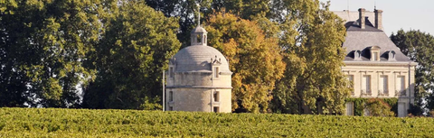 Pauillac vs Saint-Julien: What's the Difference?