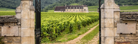 Best Burgundy Wines to Buy in Hong Kong: From Village to Grand Cru