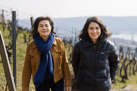 DOMAINE GEORGES VERNAY