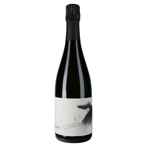 CHAMPAGNE ROGER COULON - 'Bandite' Blanc 2019