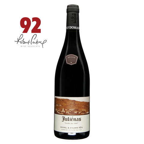 DOMAINE DU CLOS DU FIEF Julienas 'Tradition' Red 2020