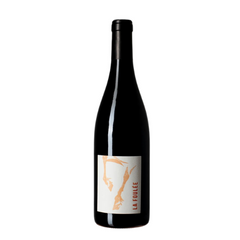 DOMAINE JEANNE GERMAIN Saumur Champigny 'La Foulee' Red 2021
