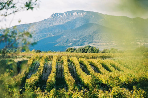 DOMAINE DE MONTCALMES
