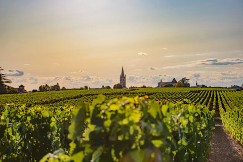 Bordeaux En Primeur 2024