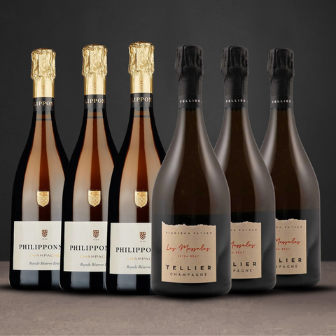 Champagne Mixed Case of 6