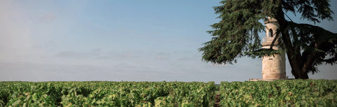 Bordeux En Primeur 2025