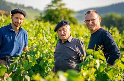 DOMAINE VINCENT BOUZEREAU