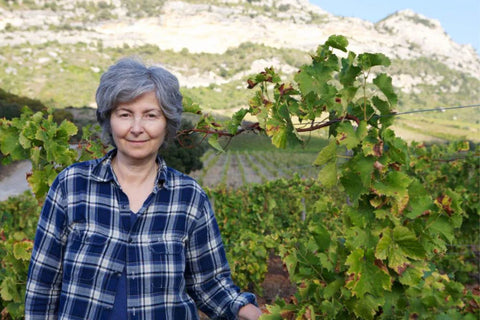 DOMAINE GIUDICELLI
