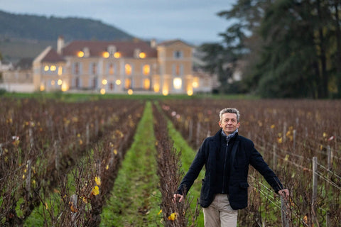 CHATEAU DE MEURSAULT & CHATEAU DE MARSANNAY