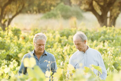 DOMAINE DE TERREBRUNE